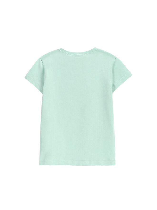Coccodrillo Coccodrillo Póló WC5143224VGB Zöld Regular Fit