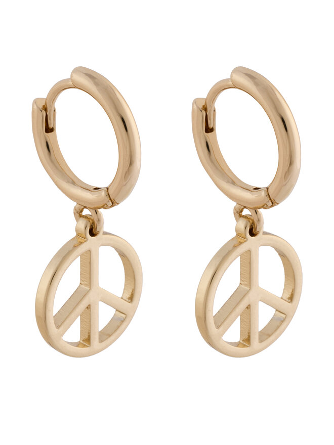 Aldo Auskarų rinkinys Aldo Charmiies 13994892 Auksinė