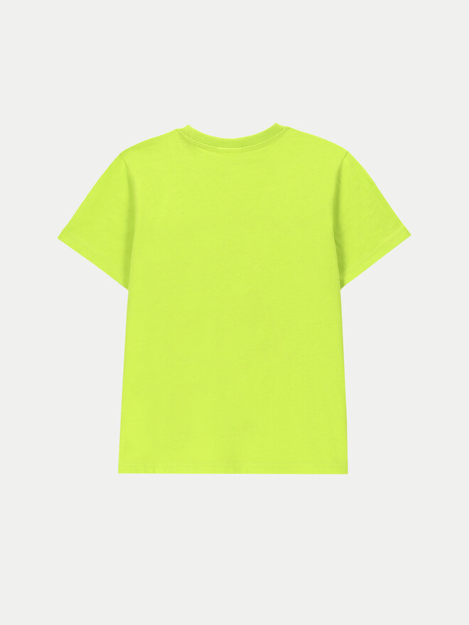 Coccodrillo Coccodrillo T-Shirt WC4143214VBC Grün Regular Fit