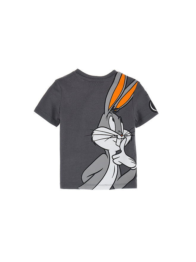 Original Marines Original Marines Футболка LOONEY TUNES DDPV0346NM Сірий Regular Fit