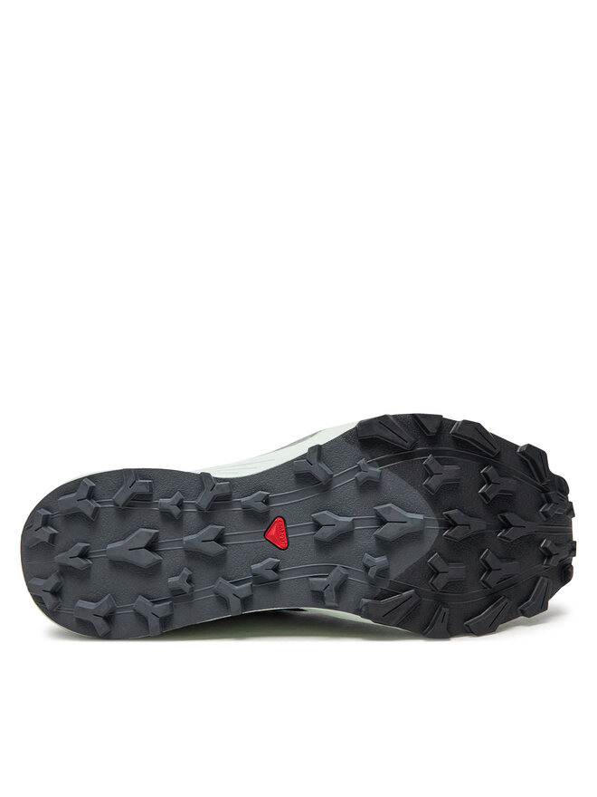 Salomon Skriešanas apavi Salomon Thundercross L47560800 Pelēks