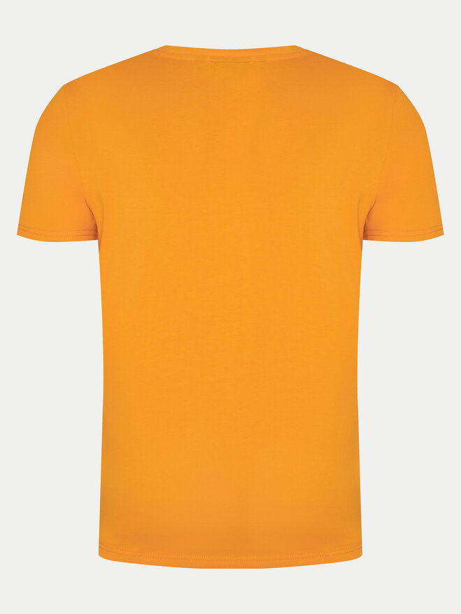 Napapijri Napapijri Camiseta Salis NP0A4H8D Naranja Regular Fit