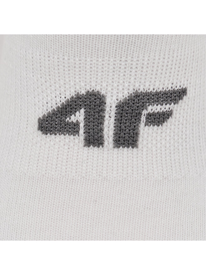 4F Набір 2 пар низьких чоловічих шкарпеток 4F 4FSS23USOCM153 Кольоровий