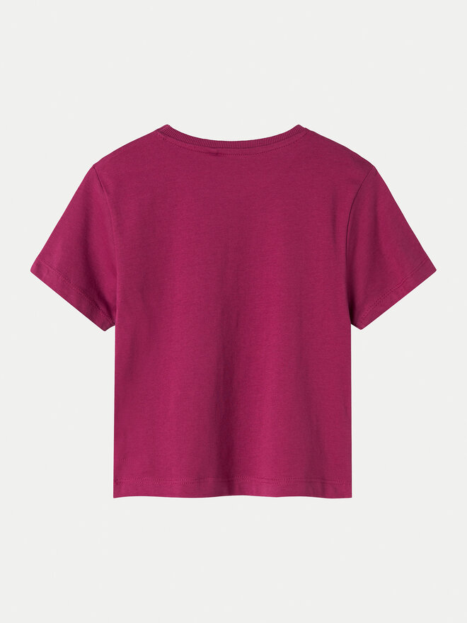 NAME IT NAME IT Marškinėliai Betria 13238045 Violetinė Regular Fit