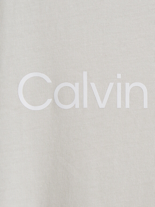 Calvin Klein Jeans Calvin Klein Jeans T-Shirt IU0IU00599 Γκρι Regular Fit