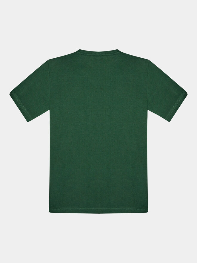 Quiksilver Quiksilver Camiseta Complogo Tees EQBZT04369 Verde Regular Fit