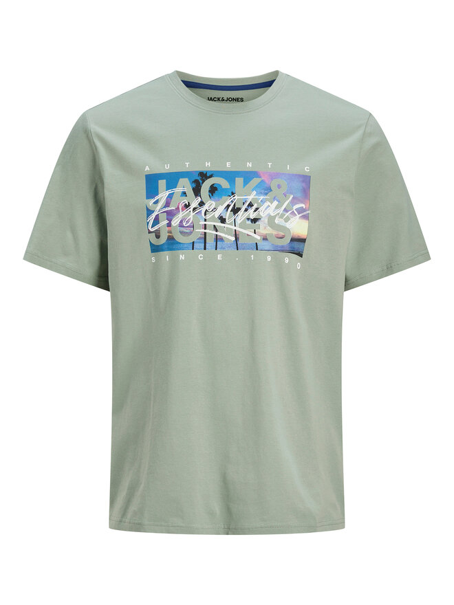 Jack&Jones Junior Jack&Jones Junior T-Shirt Colton 12269809 Grün Regular Fit