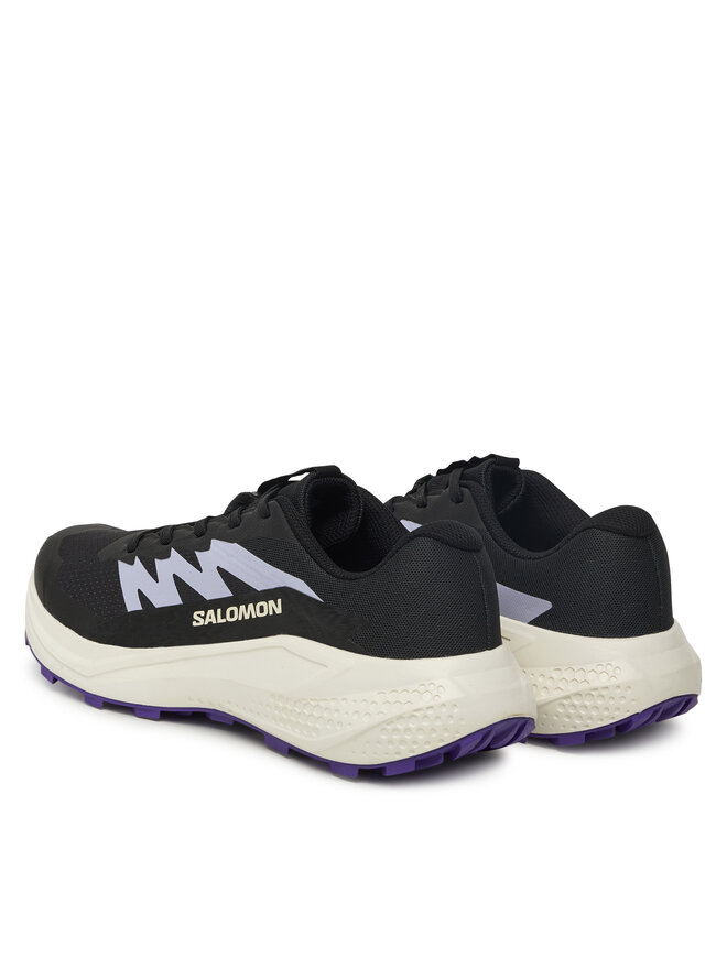 Salomon Взуття для бігу Salomon Alphaglide L47801800 Сірий