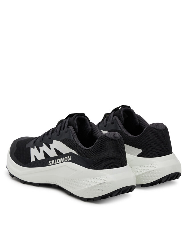 Salomon Buty do biegania Salomon Alphaglide L47801500 Czarny