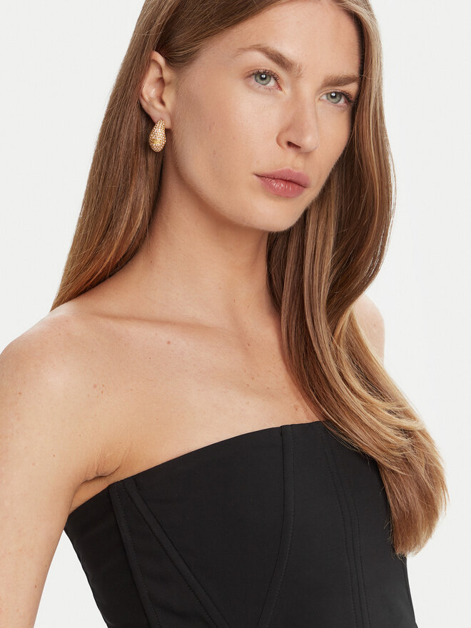 Elisabetta Franchi Naušnice Elisabetta Franchi OR-44M-51E2-V250 Zlatna