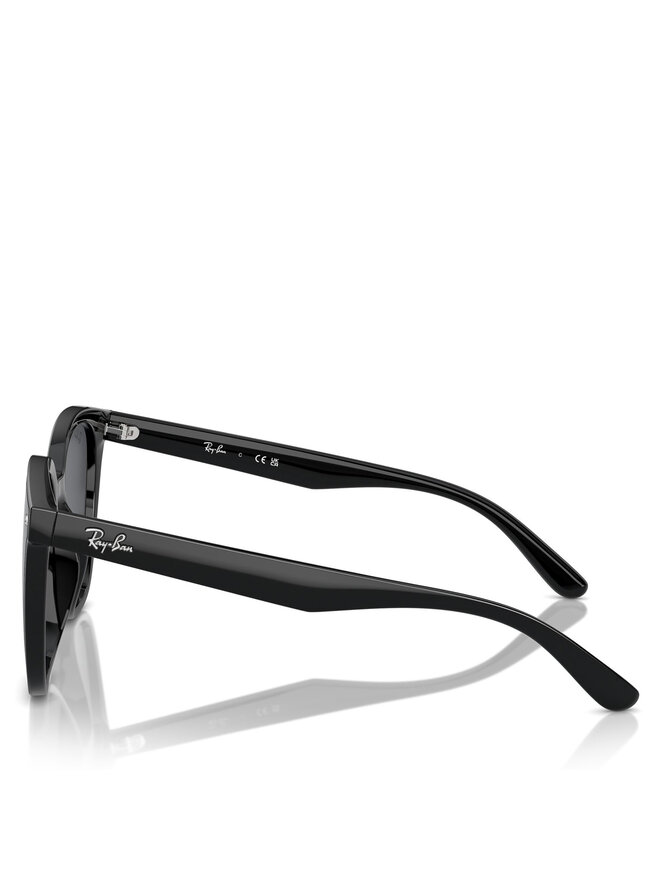 Ray-Ban Sonnenbrillen Ray-Ban 0RB4423D 601/87 Schwarz