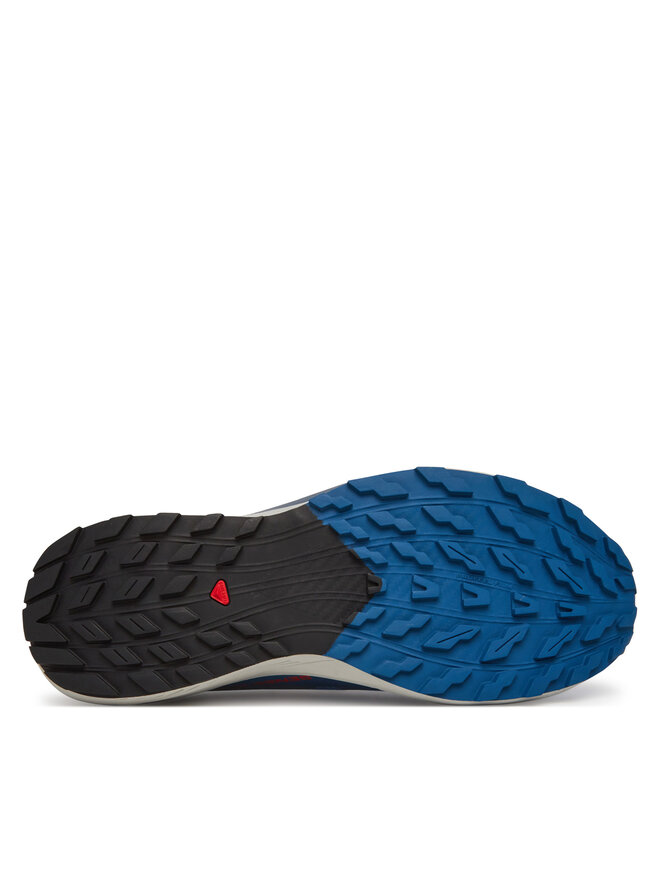 Salomon Pantofi pentru alergare Salomon Sense Ride 5 L47808600 Albastru