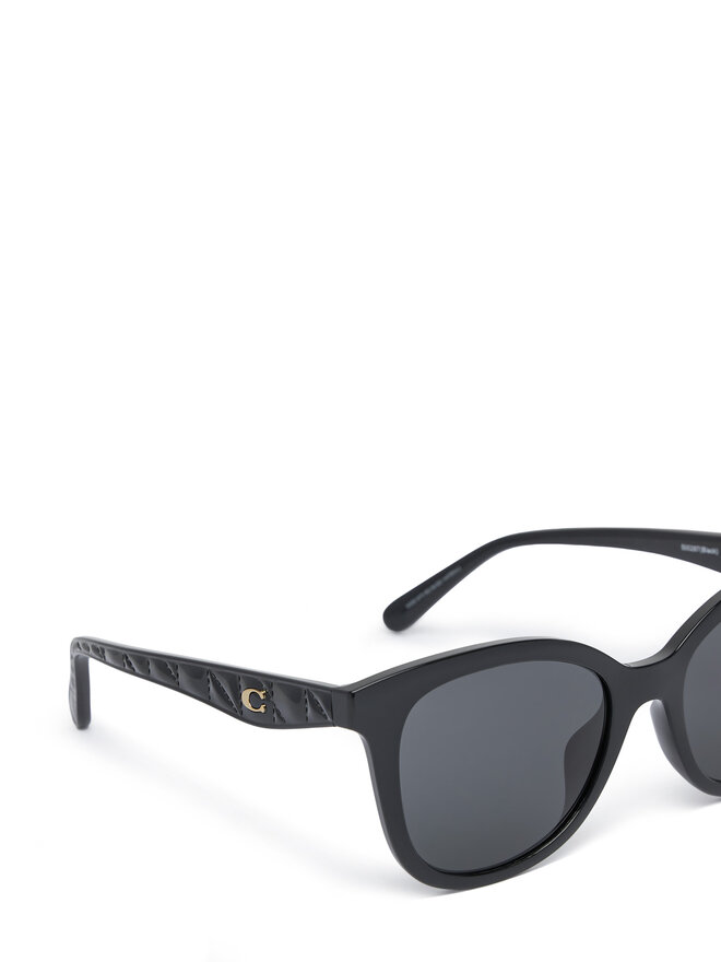 Coach Occhiali da sole Coach 0HC8419U Nero