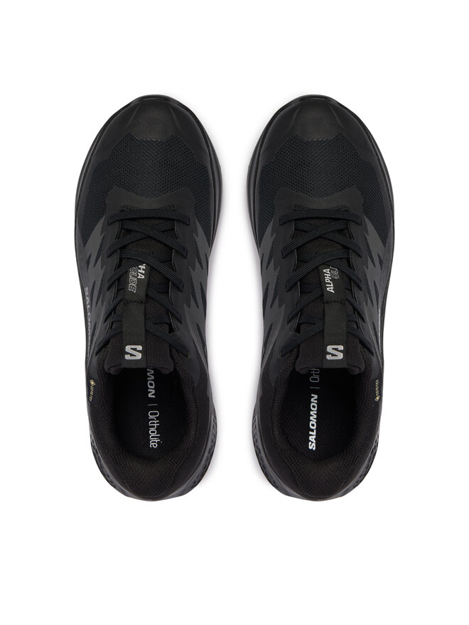 Salomon Взуття для бігу Salomon Alphaglide Gtx W L49214400 Cиній