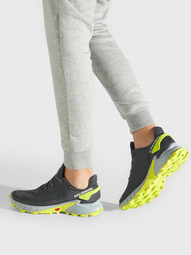 Salomon Laufschuhe Salomon Alphacross 4 Gtx GORE-TEX 470667 26 V0 Grau