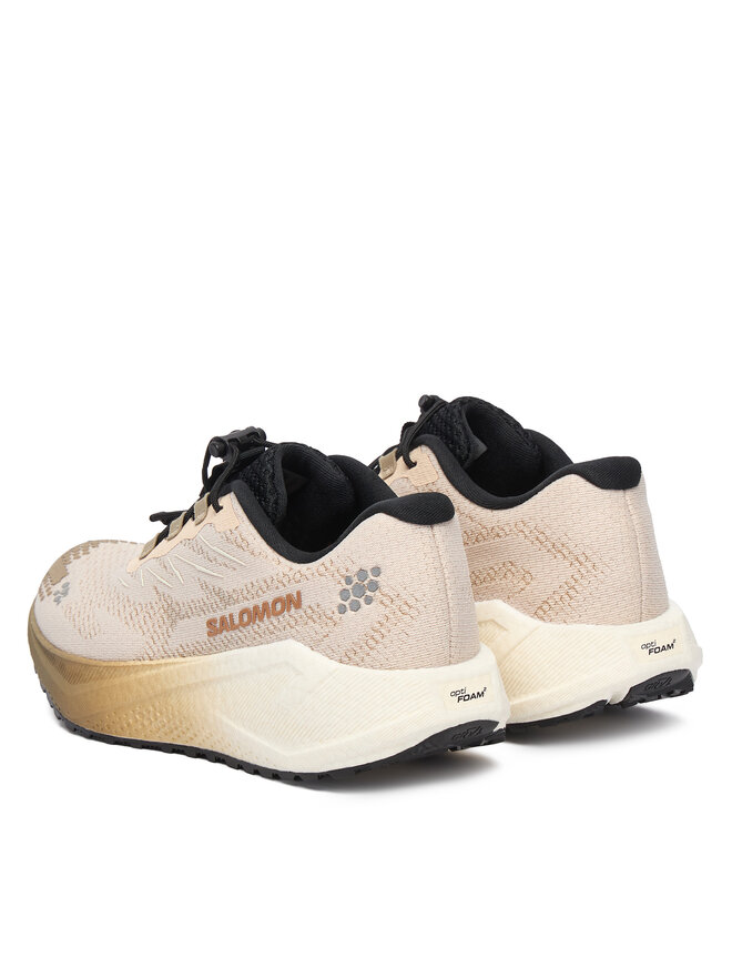 Salomon Laufschuhe Salomon Aero Blaze 4 L45401900 Beige