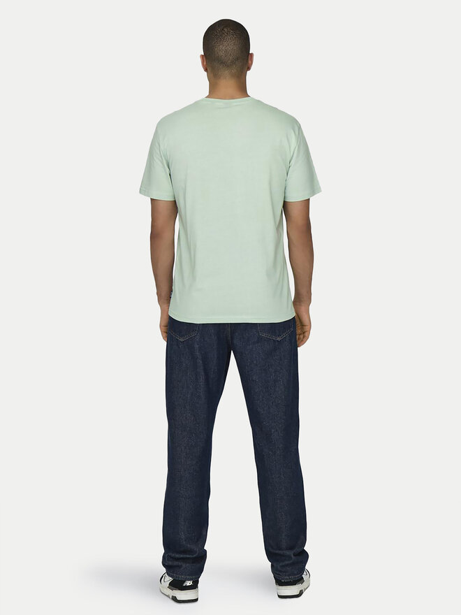 Only & Sons Only & Sons T-Shirt Kolton 22028735 Grün Regular Fit
