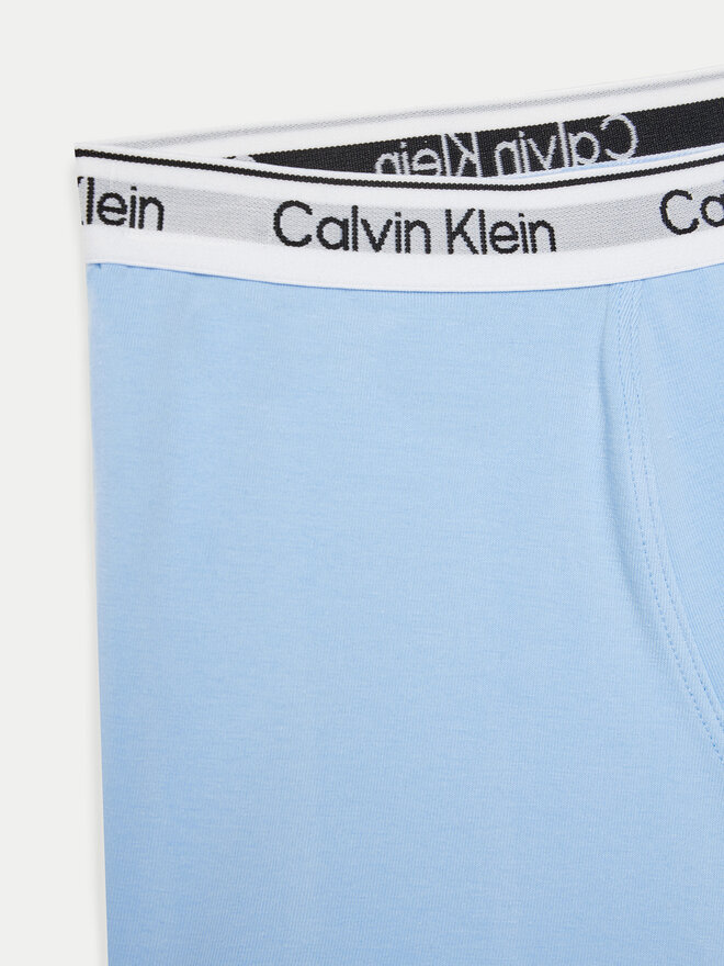 Calvin Klein Underwear Calvin Klein Underwear 2er-Set Boxershorts B70B700506 Blau