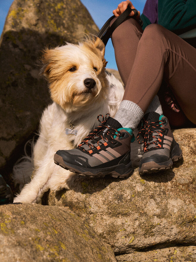 adidas Παπούτσια πεζοπορίας adidas Terrex Skychaser AX5 Mid GORE-TEX CLIMAWARM+ JH7807 Καφέ