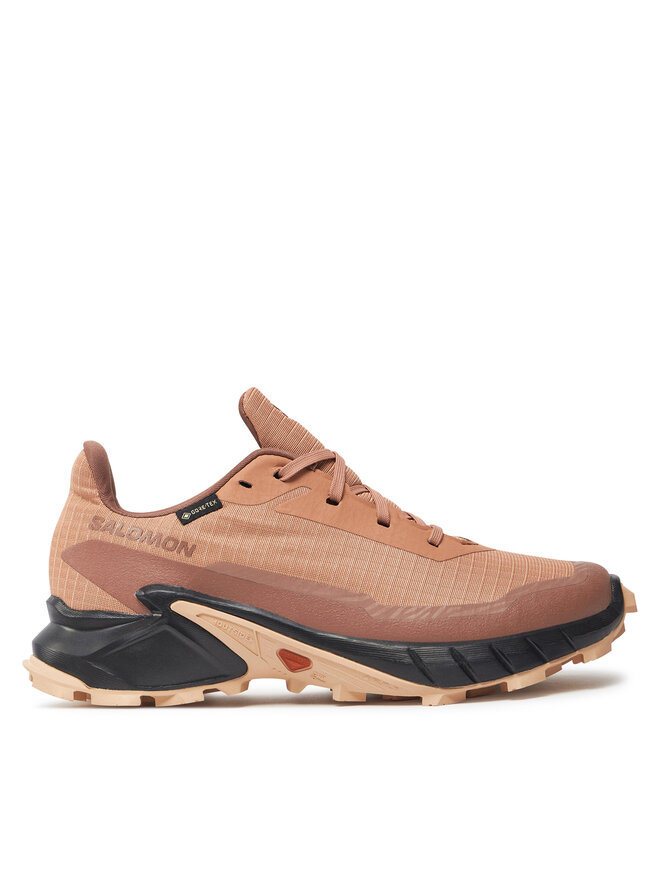 Взуття для бігу Salomon Alphacross 5 Gore-Tex L47595100 Кораловий