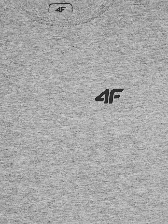 4F 4F Marškinėliai 4FJWMM00TTSHM1626 Pilka Regular Fit