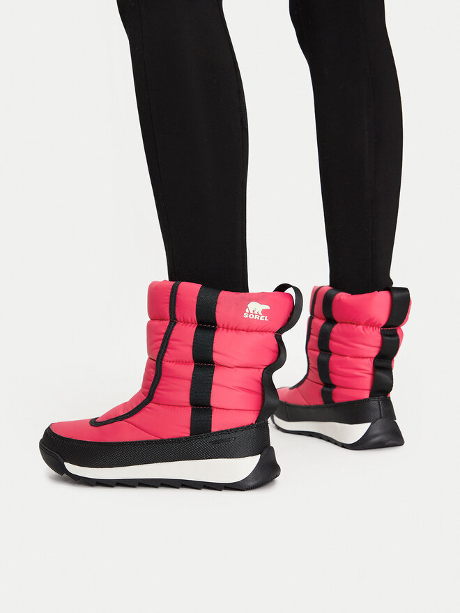 Sorel Botas de nieve Sorel Whitney II Puffy Mid Wp NY3873 Rosa