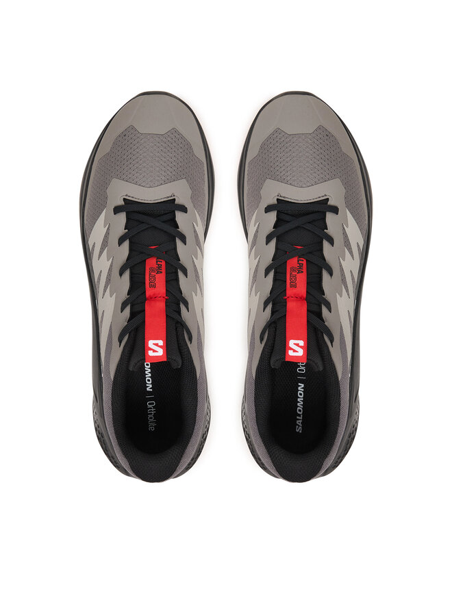 Salomon Взуття для бігу Salomon Alphaglide L48000800 Сірий