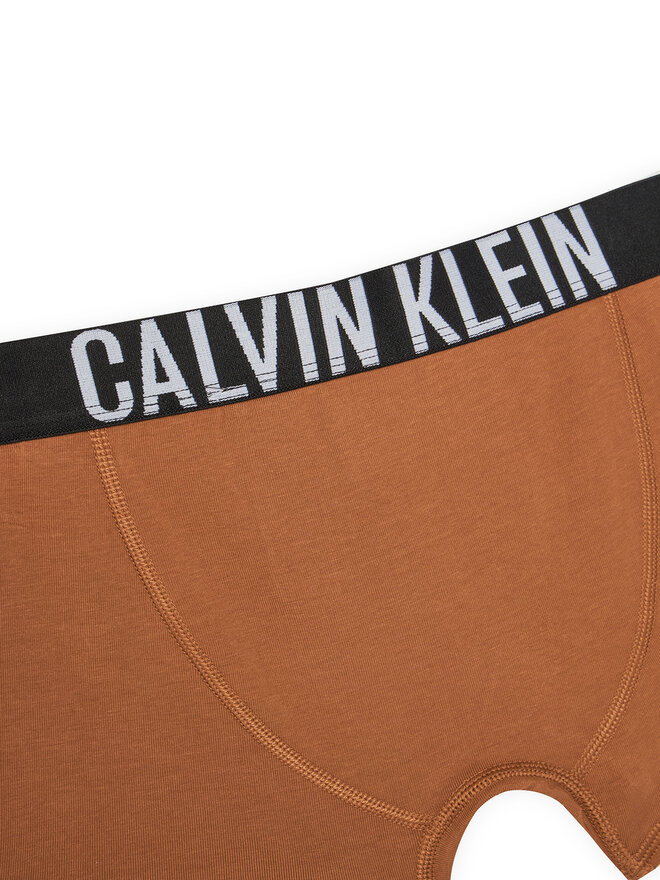 Calvin Klein Underwear Calvin Klein Underwear Set 2 parov boksaric B70B700509 Pisana