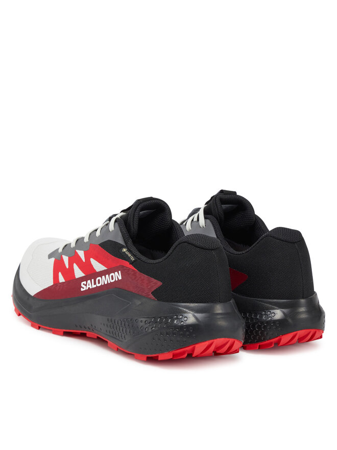 Salomon Pantofi pentru alergare Salomon Alphaglide Gore-Tex L47802200 Gri