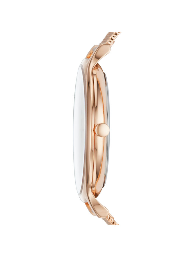 Skagen Uhr Skagen Anita SKW2773 Goldfarben