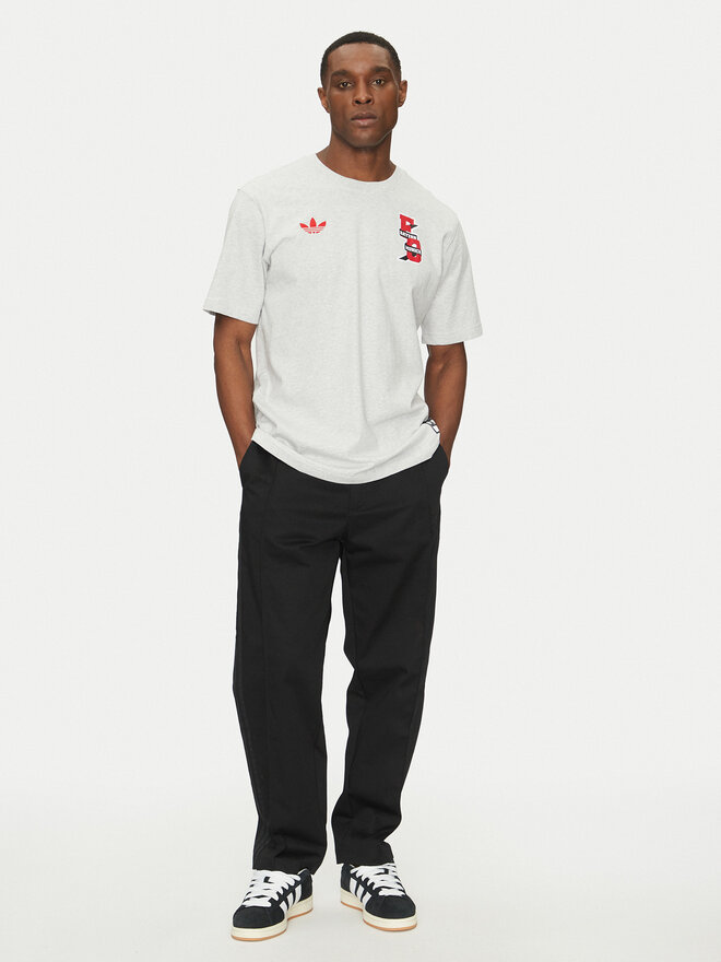 adidas adidas Marškinėliai FC Bayern VRCT JL6112 Pilka Regular Fit