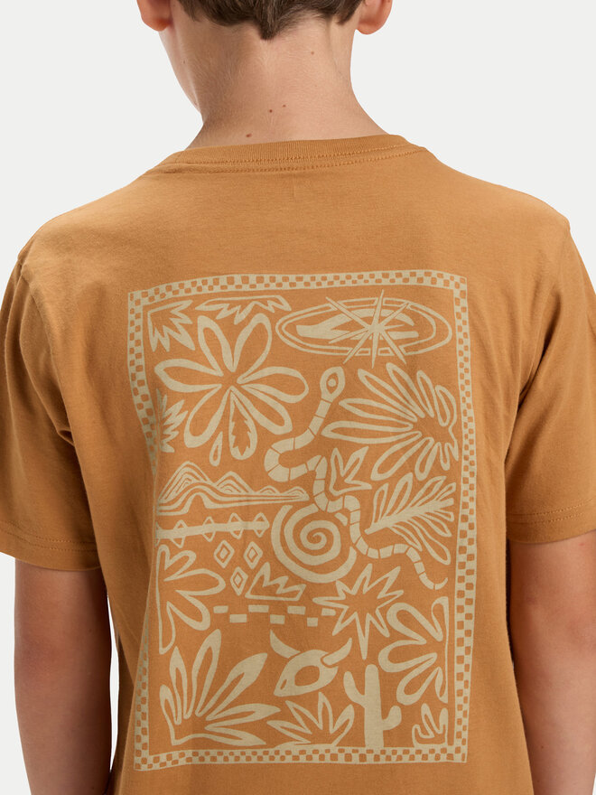 Quiksilver Quiksilver T-Shirt Hw Snaky Ways EQBZT04912 Braun Regular Fit