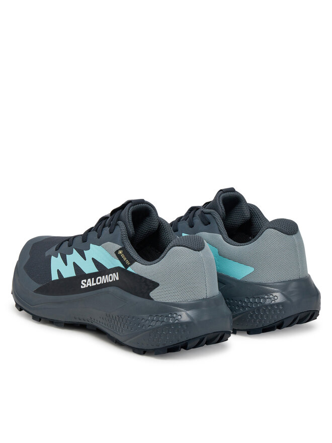 Salomon Běžecké boty Salomon Alphaglide Gore-Tex L47802500 Šedá