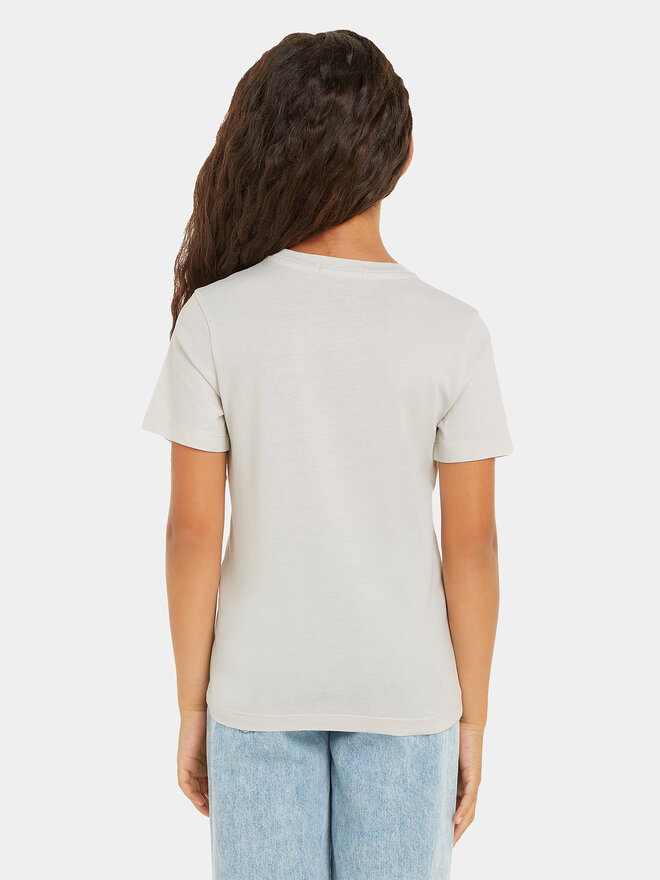 Calvin Klein Jeans Calvin Klein Jeans Футболка IU0IU00599 Сірий Regular Fit