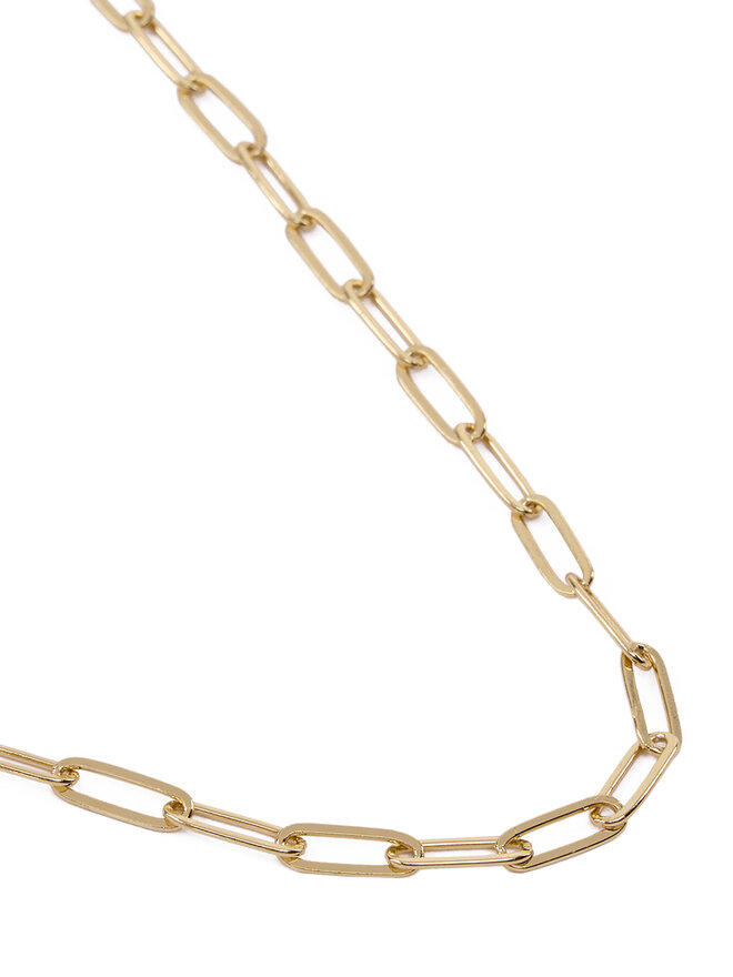 Aldo Κολιέ Aldo Issadorra 14088220 Χρυσό