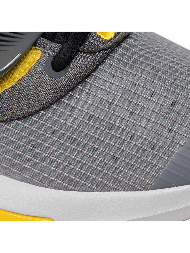 Nike Basketballschuhe Nike Zoom Freak 3 DA0694 006 Grau