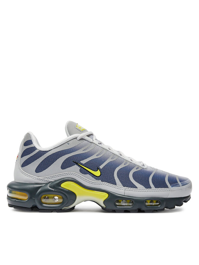 Снікерcи Nike Air Max Plus FZ4622 001 Сірий | evzuttya.com.ua