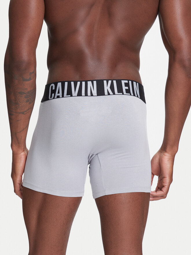 Calvin Klein Underwear Calvin Klein Underwear Набір з 3 пар боксерів 000NB3609A Кольоровий