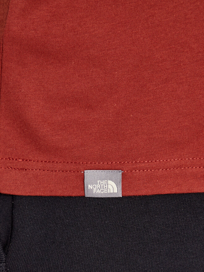 The North Face The North Face Marškinėliai Redbox Celebration NF0A7X1K Ruda Regular Fit