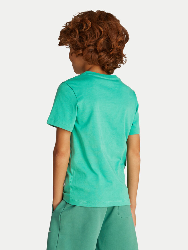 Calvin Klein Jeans Calvin Klein Jeans Футболка Surf Graphic IB0IB02447 Зелений Regular Fit