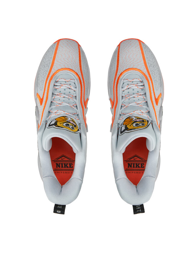 Nike Basketbalové boty Nike DH1537-004 Šedá
