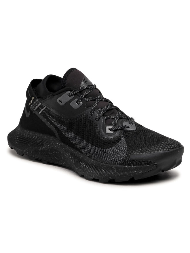 Взуття для бігу Nike Pegasus Trail 2 Gtx GORE-TEX CU2016 001