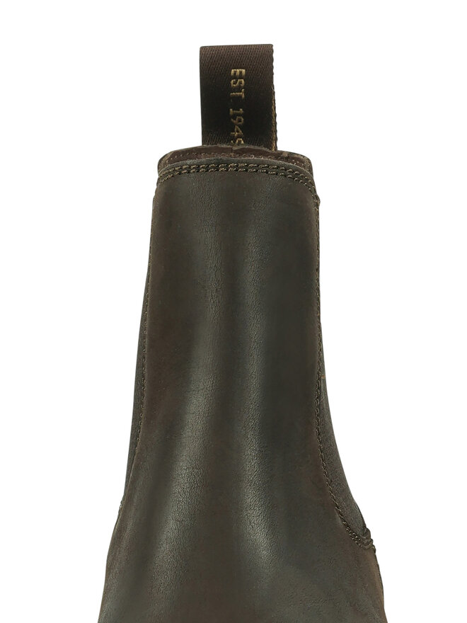 Gant Botines Chelsea Gant 29651752 Marrón