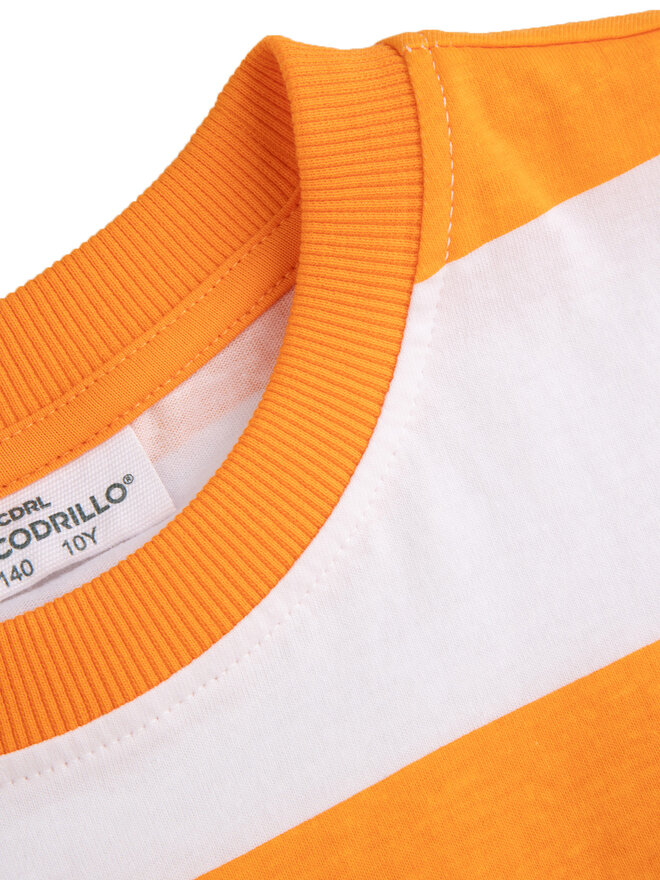 Coccodrillo Coccodrillo Camiseta WC5143209VBC Naranja Regular Fit