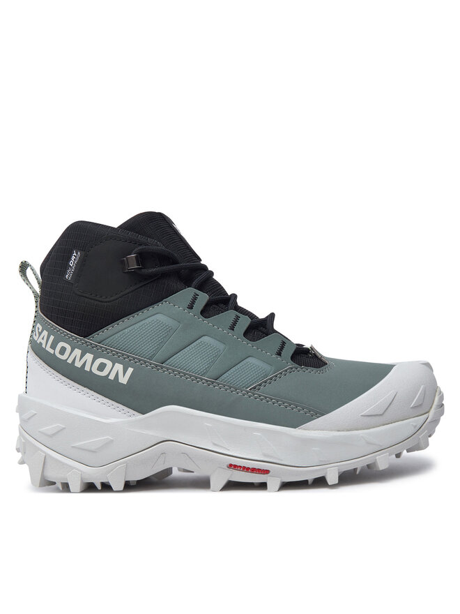 Трекінгові черевики Salomon Crosstrak Waterproof L47570400 Зелений