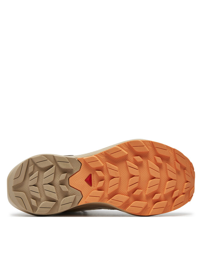 Salomon Pārgājienu apavi Salomon Elixir Activ Mid Gore-Tex L47457200 Bēšs