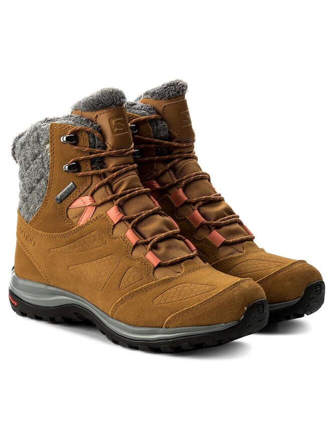 Salomon ellipse 3 2025