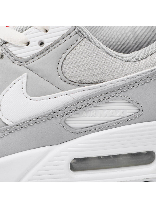 Sneakers Nike Air Max 90 DJ1494 001 Grau | eschuhe.de