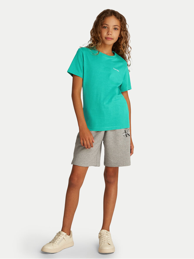 Calvin Klein Jeans Calvin Klein Jeans T-Shirt IU0IU00683 Grün Regular Fit