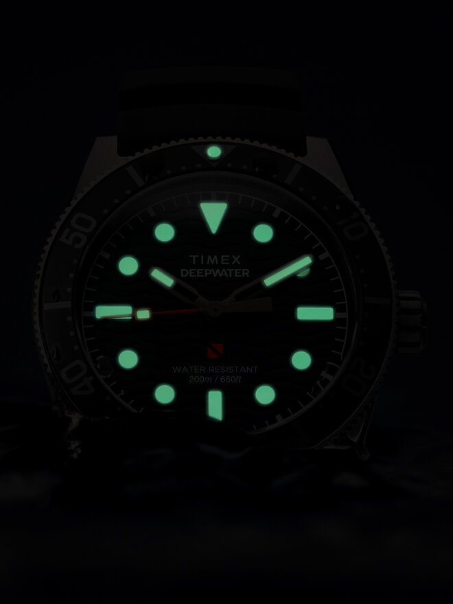 Timex Ρολόι Timex Deep Water TW2W74700 Γκρι